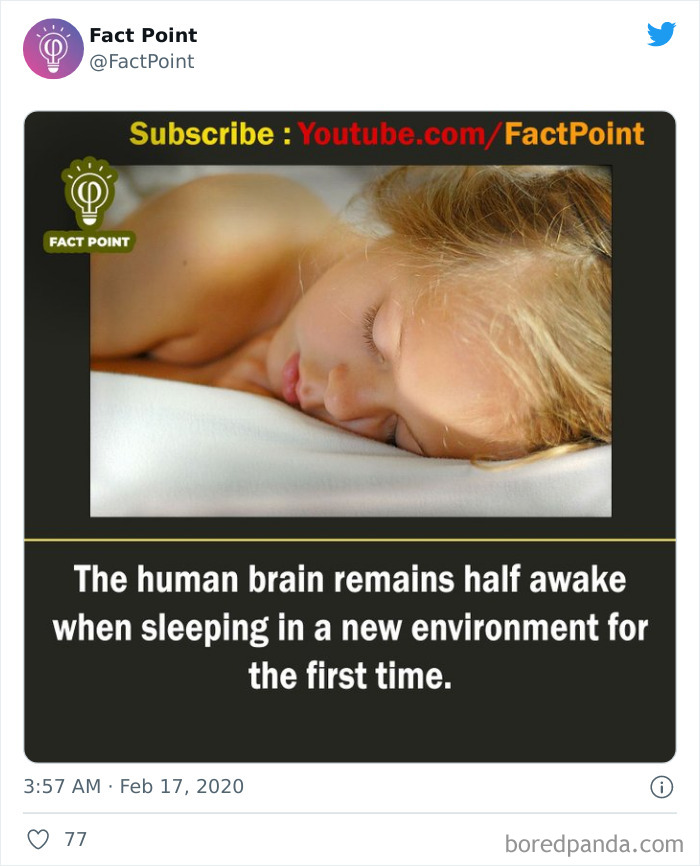 Interesting-Facts-Fact-Point