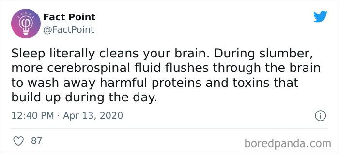 Interesting-Facts-Fact-Point