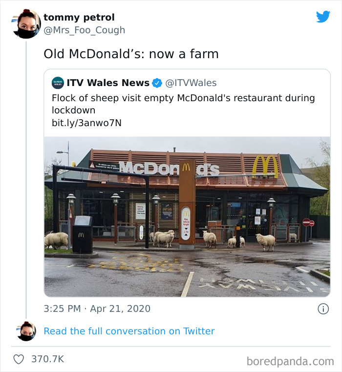 Well The Farm Animals Are Present