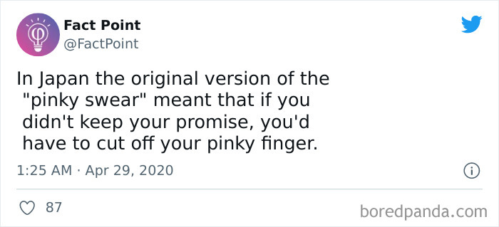 Interesting-Facts-Fact-Point