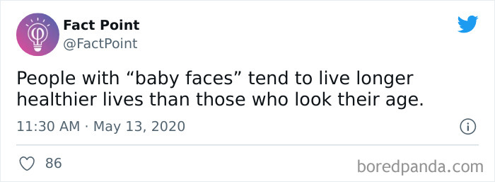 Interesting-Facts-Fact-Point