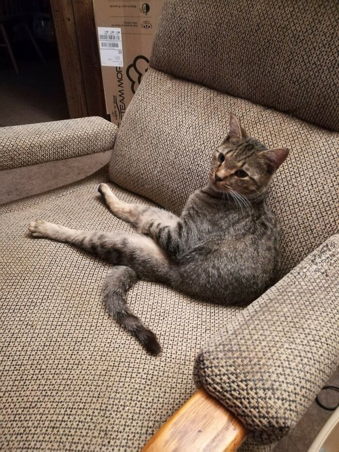 Trixie Aka Tiny Magee