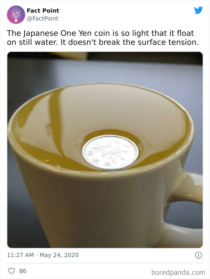 Interesting-Facts-Fact-Point