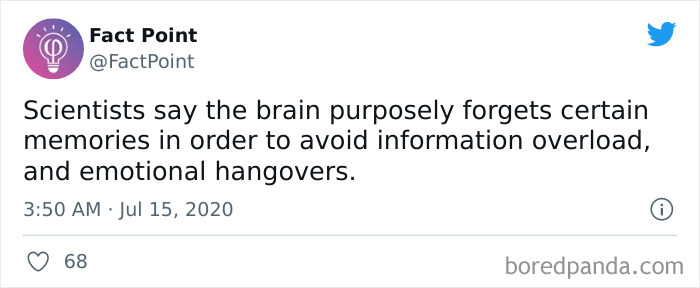 Interesting-Facts-Fact-Point