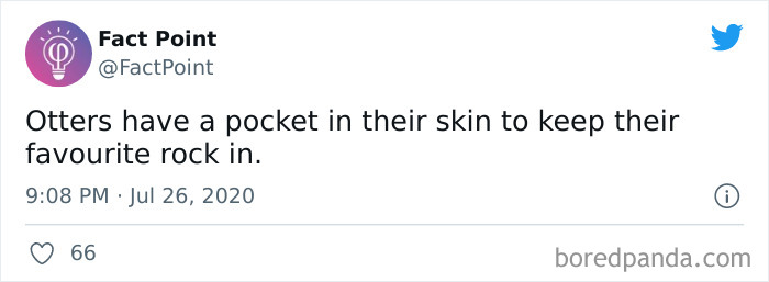 Interesting-Facts-Fact-Point