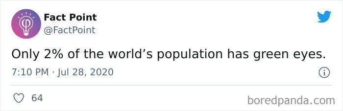 Interesting-Facts-Fact-Point