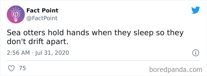 Interesting-Facts-Fact-Point