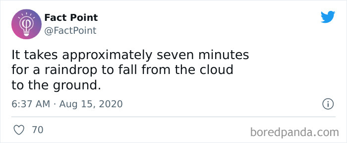 Interesting-Facts-Fact-Point