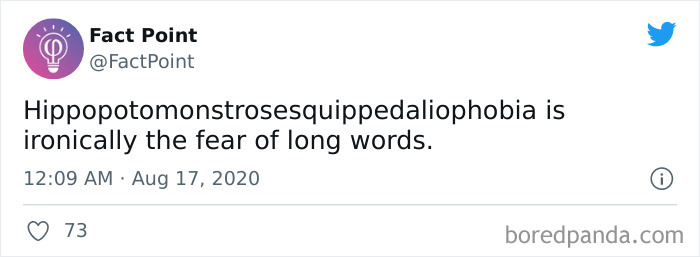 Interesting-Facts-Fact-Point