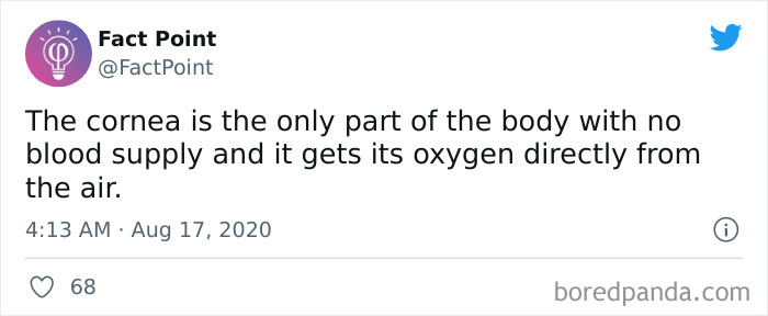 Interesting-Facts-Fact-Point