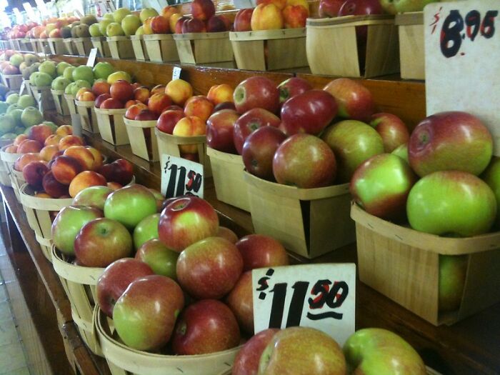 Someone Online Wondered: “What’s A Random Fact You Think Is Worth Sharing?“, And 30 Users Delivered