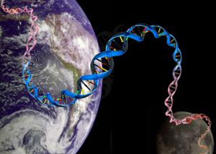 'What Is A Scientific Fact That Absolutely Blows Your Mind?': People Share 35 Incredible Facts About Our World