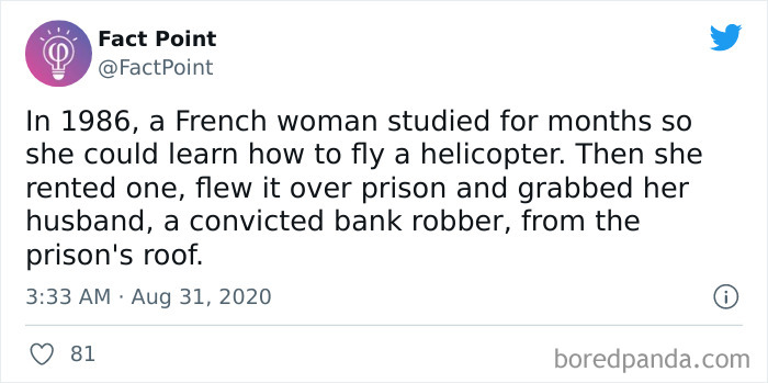 Interesting-Facts-Fact-Point