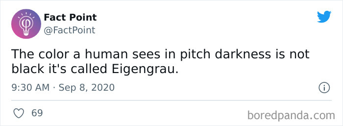 Interesting-Facts-Fact-Point