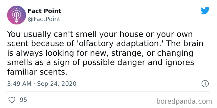 Interesting-Facts-Fact-Point