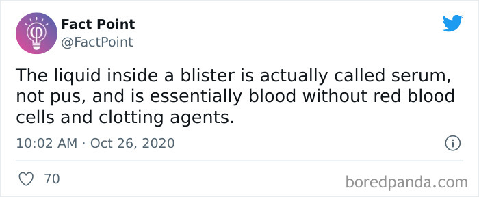 Interesting-Facts-Fact-Point