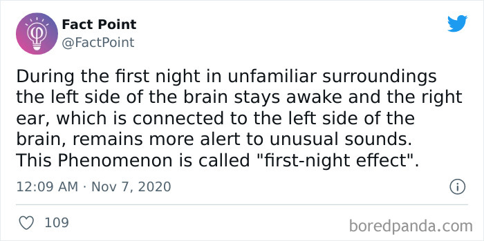 Interesting-Facts-Fact-Point