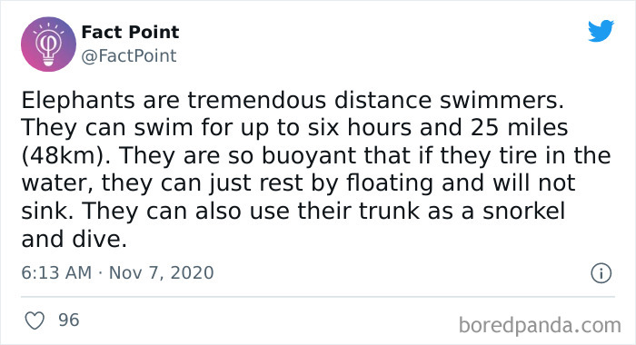 Interesting-Facts-Fact-Point