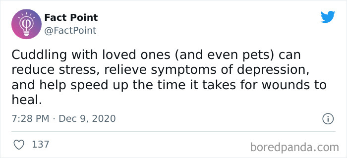 Interesting-Facts-Fact-Point