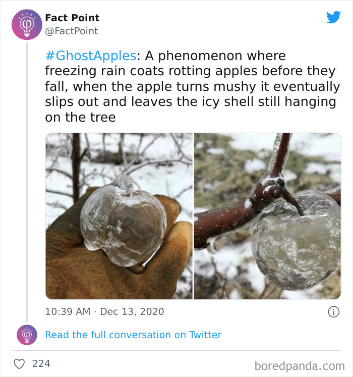 Interesting-Facts-Fact-Point