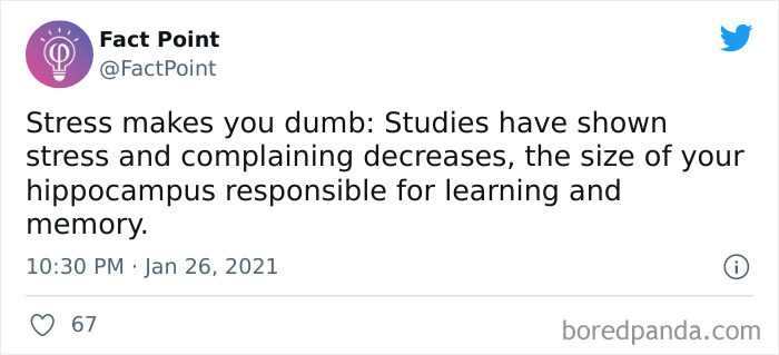 Interesting-Facts-Fact-Point