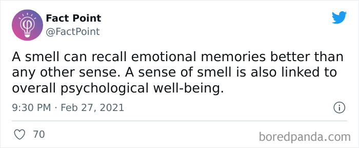 Interesting-Facts-Fact-Point