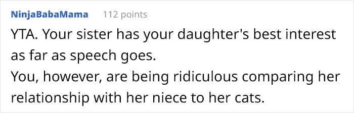 Mom Wonders If She Overreacted For Being Mad At Her Sister Who Doesn&rsquo;t Use Baby Talk With Her 3-Year-Old