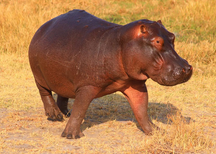 'What Is A Scientific Fact That Absolutely Blows Your Mind?': People Share 35 Incredible Facts About Our World