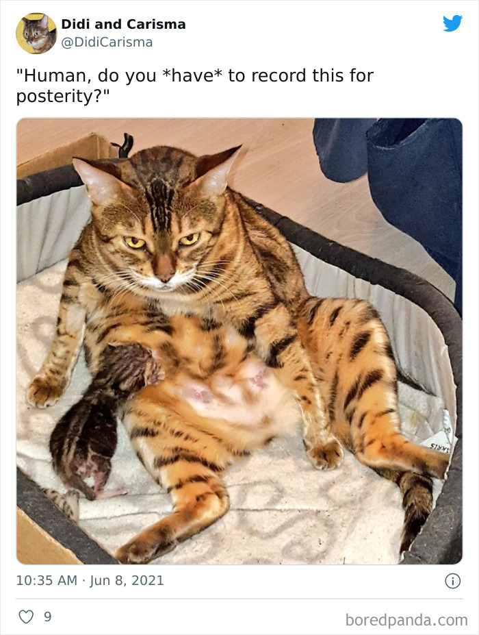  Life Decisions Are Flashing Before Her Eyes