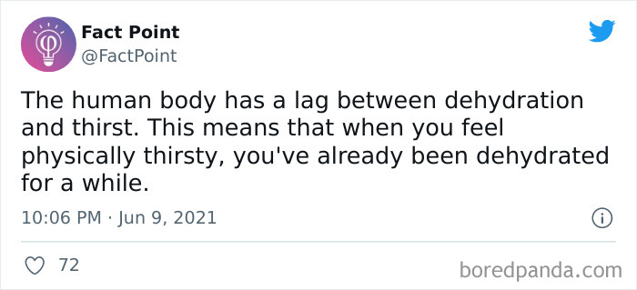 Interesting-Facts-Fact-Point