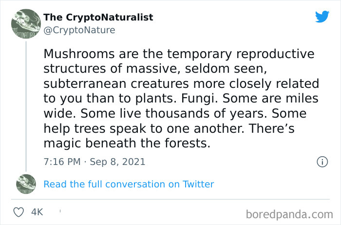 Ominous-Positivity-Jokes