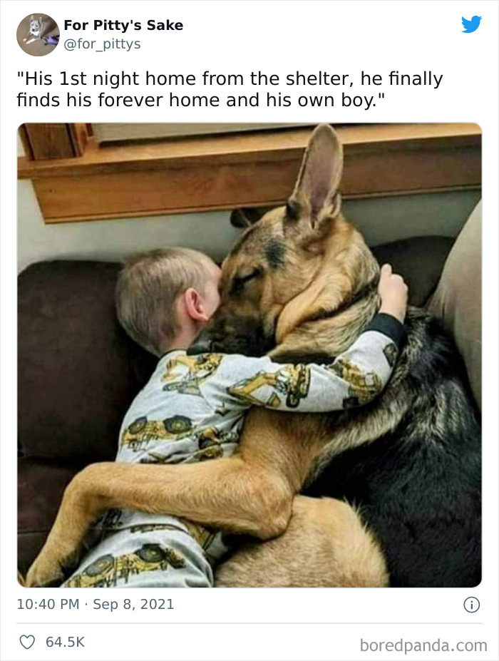 Hope This Makes Your Day