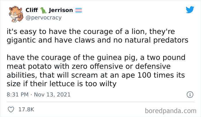 Ominous-Positivity-Jokes