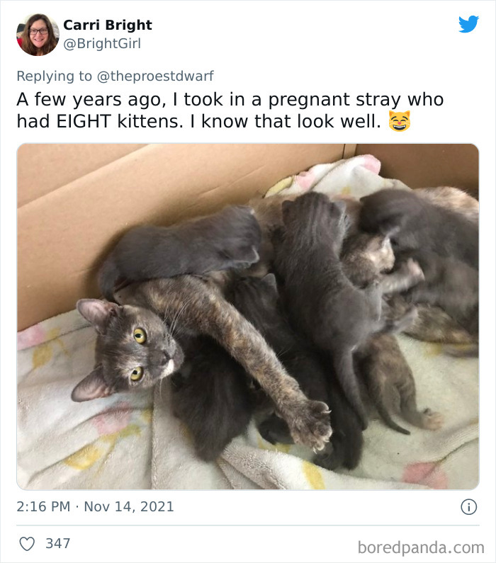 Good Lord, How Did Those All Fit In There