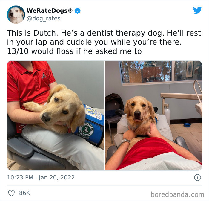 Dog-Rates-Twitter