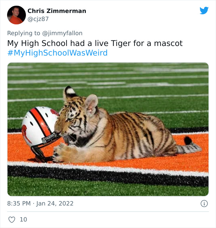 My-High-School-Was-Weird-Jimmy-Fallon