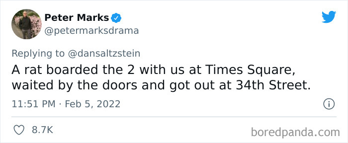 Tweet from Peter Marks describing a weird New York experience of a rat boarding the 2 train in Times Square.