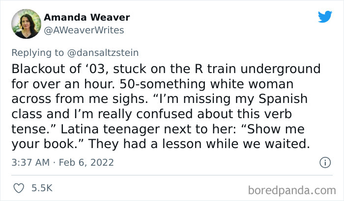 The-Most-New-York-Thing-That-Ever-Happened-Twitter-Thread