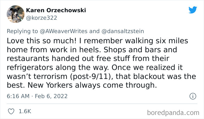 The-Most-New-York-Thing-That-Ever-Happened-Twitter-Thread