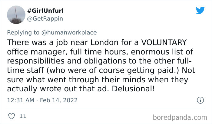 Faked-Job-Opening-To-Get-Free-Employee