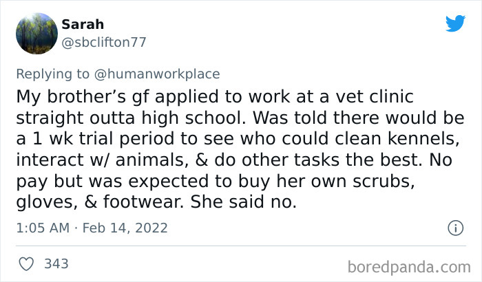 Faked-Job-Opening-To-Get-Free-Employee