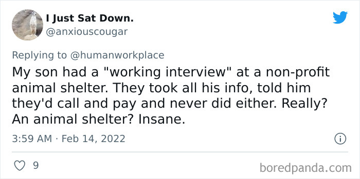 Faked-Job-Opening-To-Get-Free-Employee