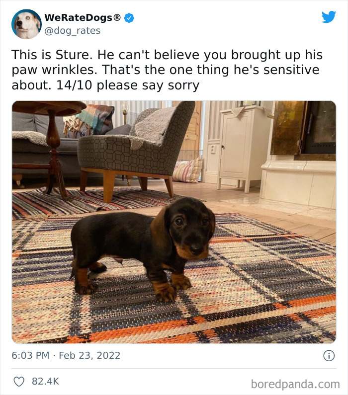 Dog-Rates-Twitter