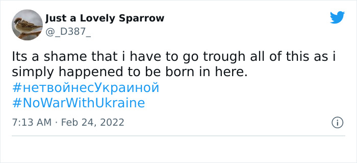 Heartbreaking-Tweets-From-Ukraine