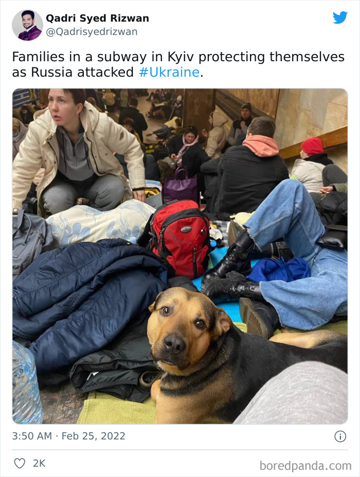 Heartbroking-Moments-Ukraine-Russia-War