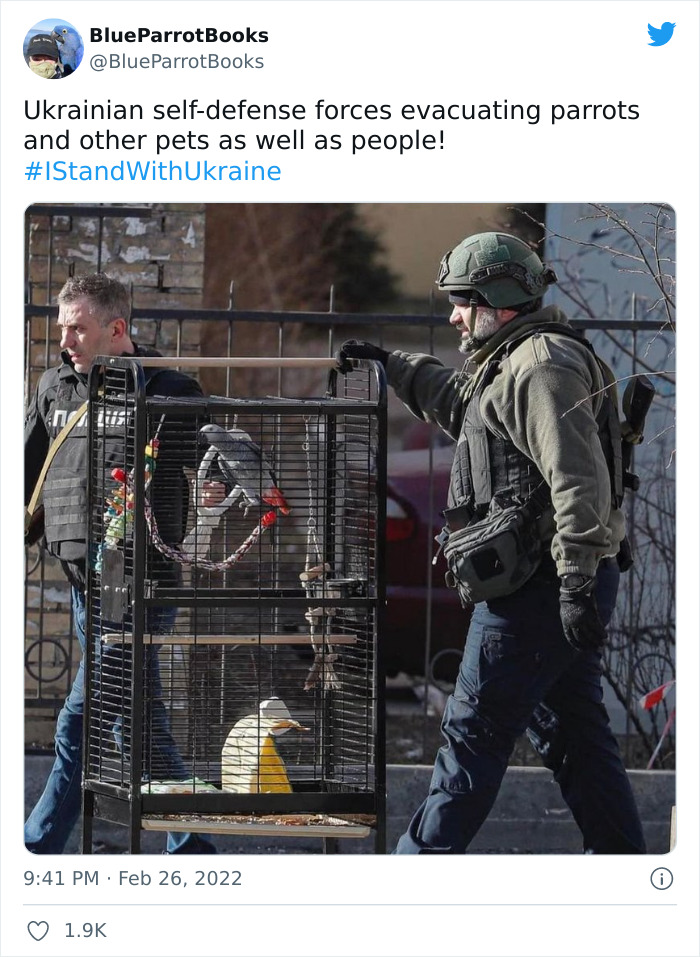 Ukraine-Invasion-Pets