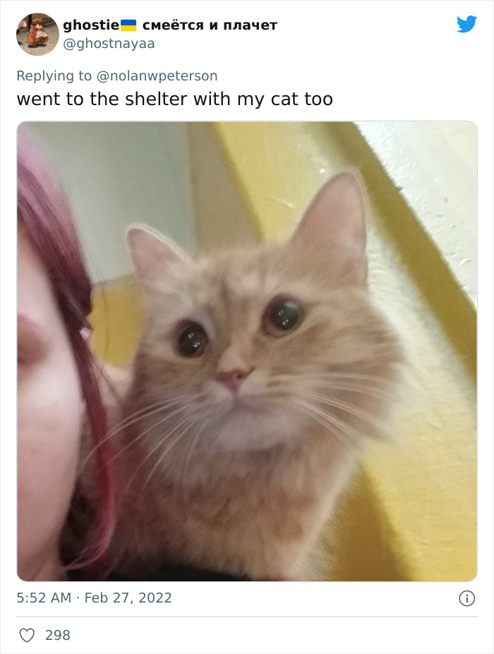 Ukraine-Invasion-Pets