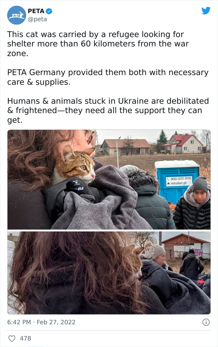 Ukraine-Invasion-Pets