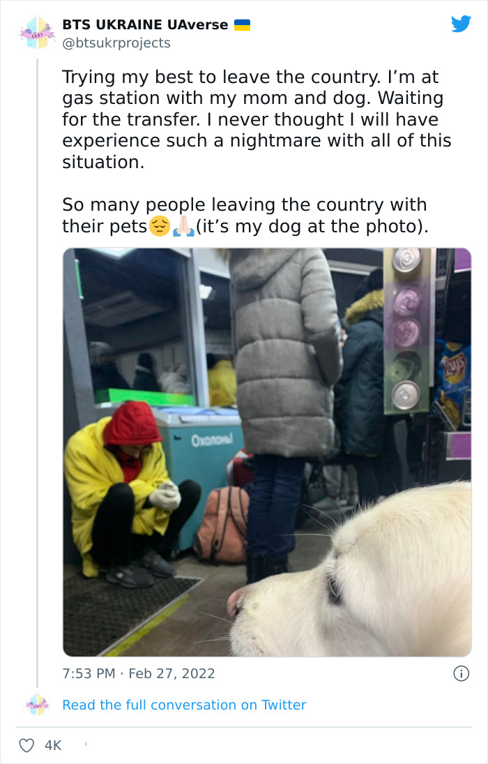 Ukraine-Invasion-Pets