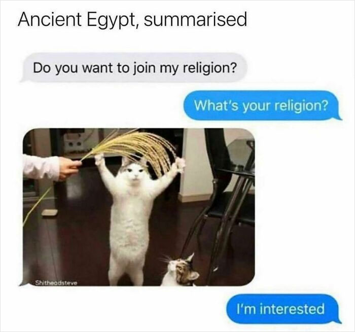 Funny history meme with cats illustrating ancient Egypt religion in a humorous and accurate way shared on a popular meme group.